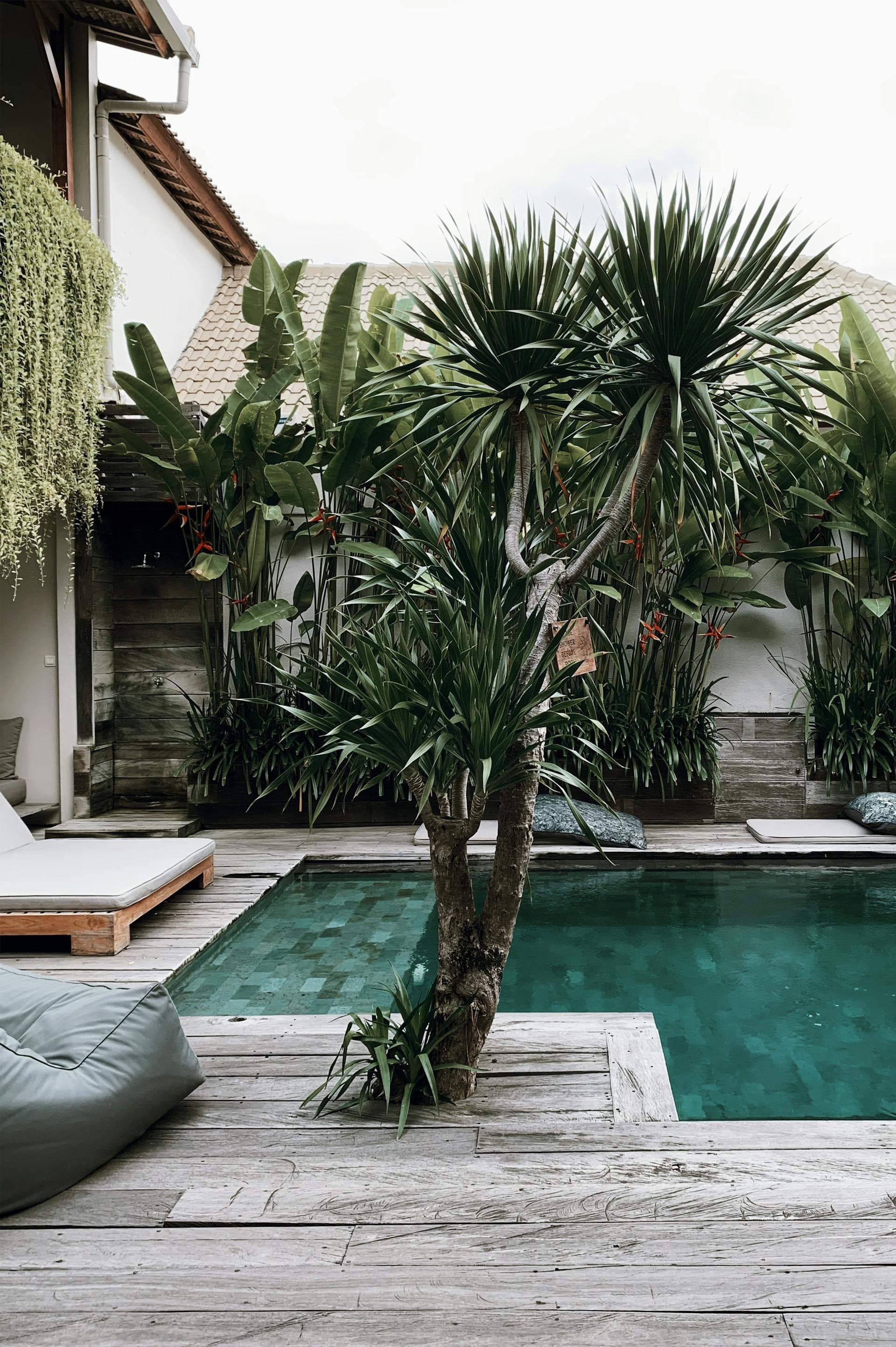 Jardín Tropical Minimalista